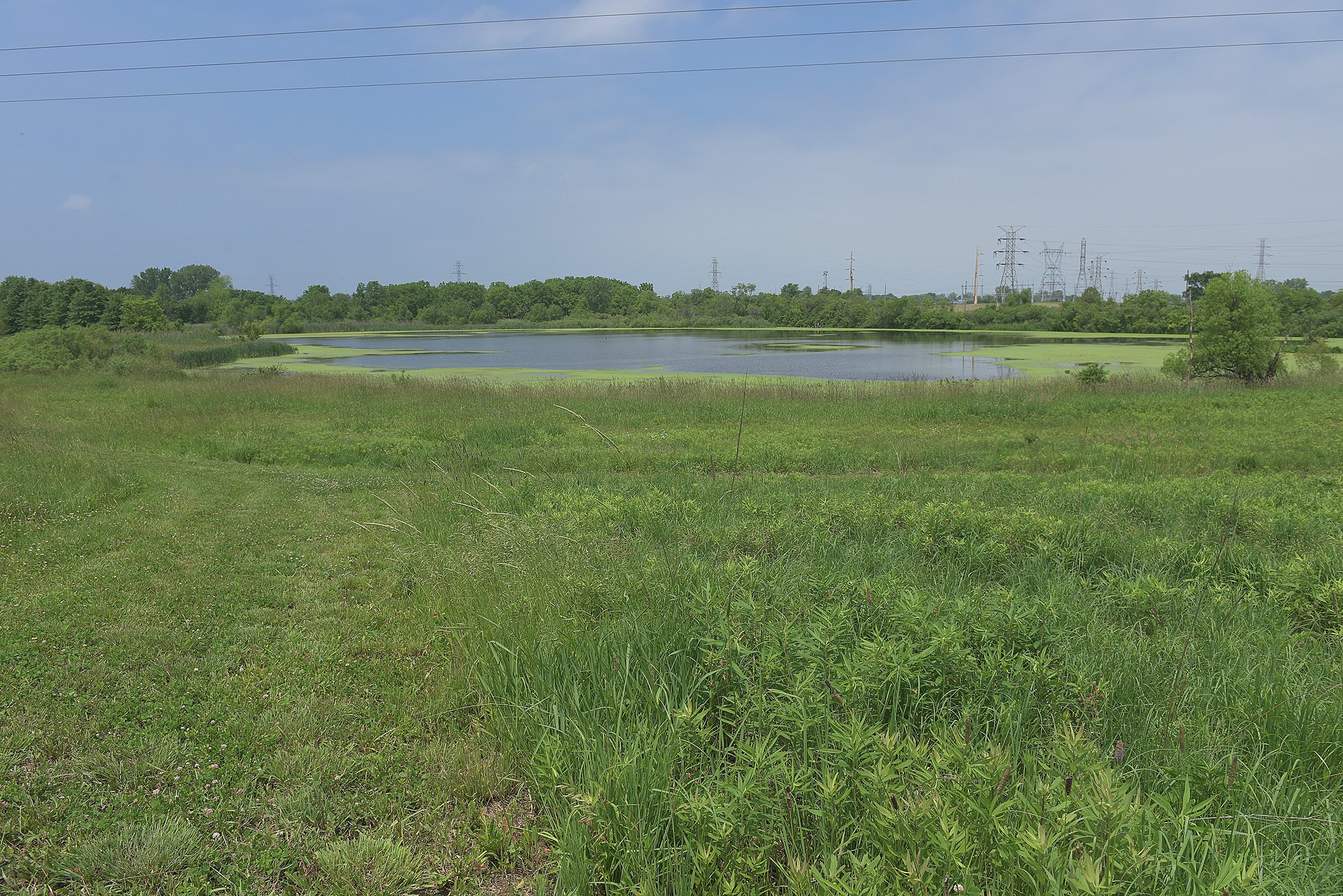 Pond on a farm in Lake County, Indiana - LAND AUCTION - 147+/- ACRES OFFERED IN 3 TRACTS IN LAKE COUNTY, INDIANA